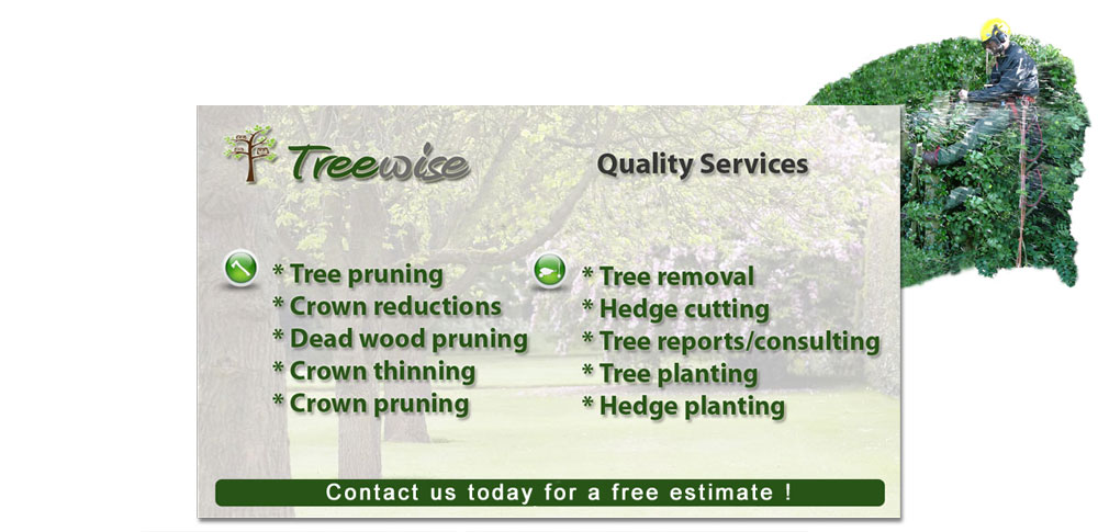 Professional Tree Surgeon, Kerry